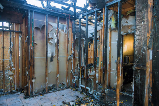 Professional Fire Damage Assessment technician working in Kapaa, HI